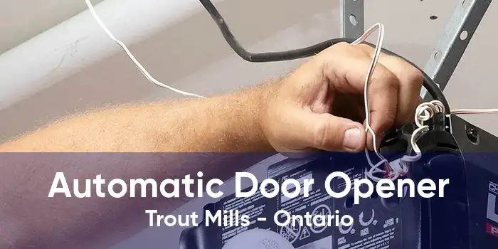 Automatic Door Opener Trout Mills - Ontario