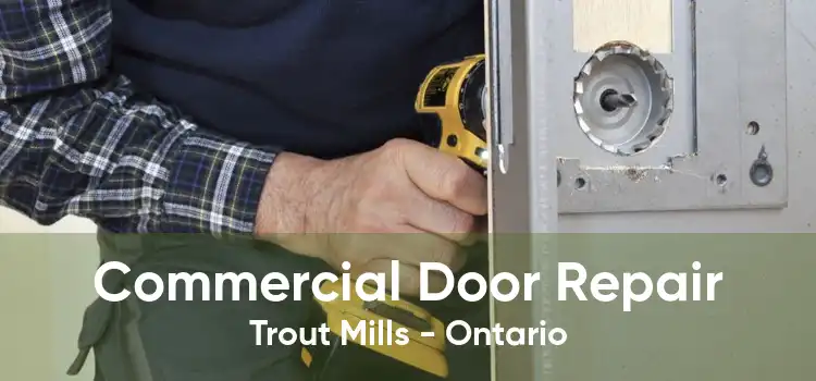 Commercial Door Repair Trout Mills - Ontario