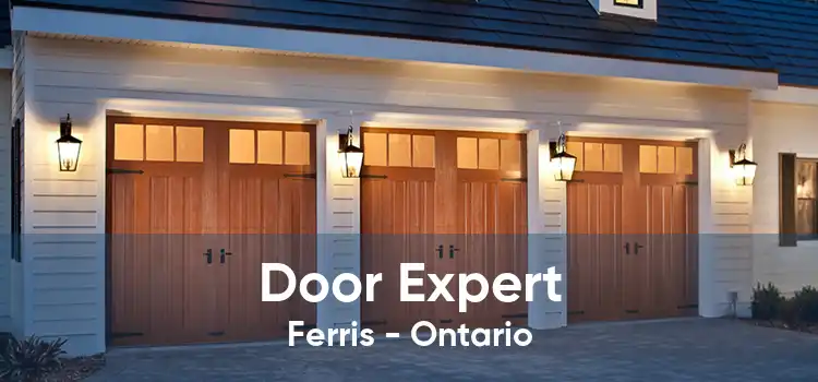 Door Expert Ferris - Ontario