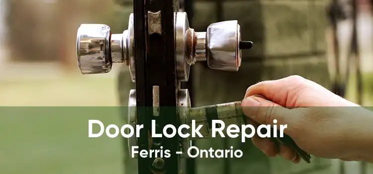 Door Lock Repair Ferris - Ontario