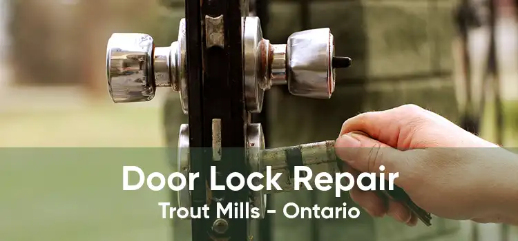 Door Lock Repair Trout Mills - Ontario