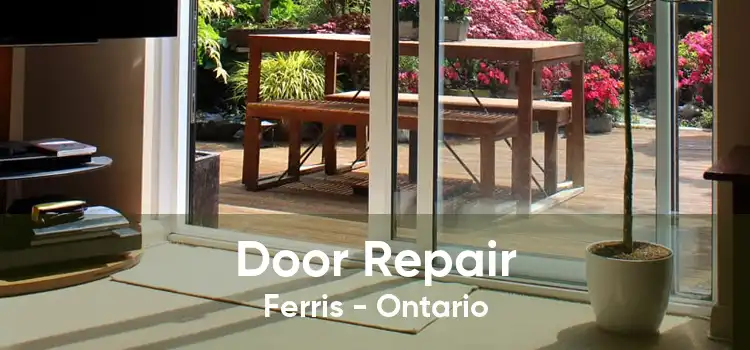 Door Repair Ferris - Ontario