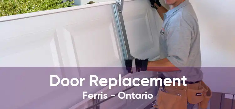 Door Replacement Ferris - Ontario