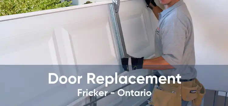 Door Replacement Fricker - Ontario