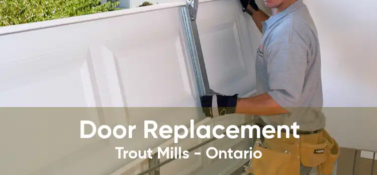 Door Replacement Trout Mills - Ontario