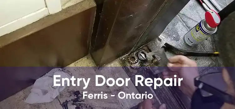 Entry Door Repair Ferris - Ontario