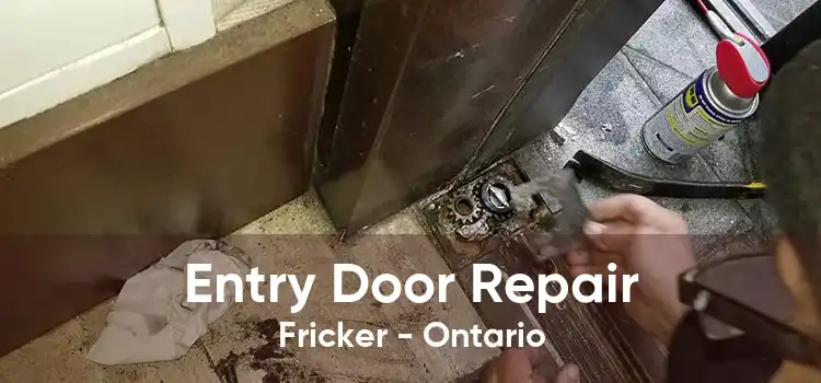 Entry Door Repair Fricker - Ontario