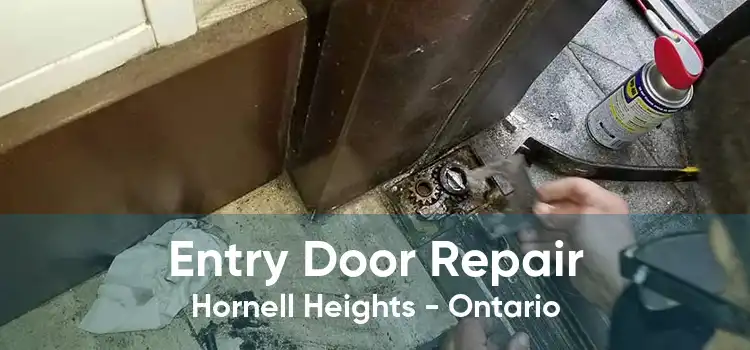 Entry Door Repair Hornell Heights - Ontario