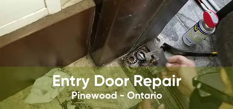 Entry Door Repair Pinewood - Ontario