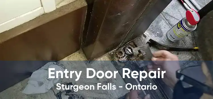 Entry Door Repair Sturgeon Falls - Ontario