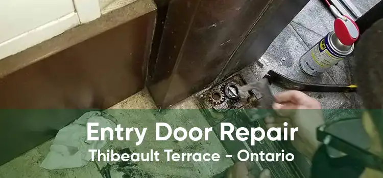 Entry Door Repair Thibeault Terrace - Ontario