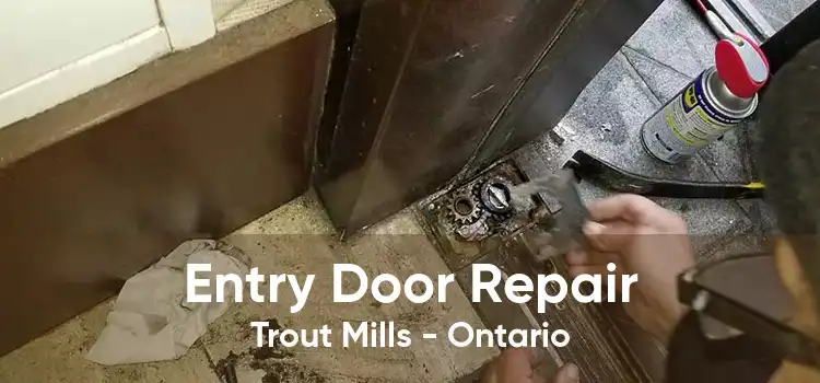 Entry Door Repair Trout Mills - Ontario