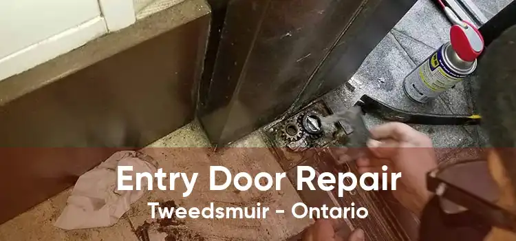 Entry Door Repair Tweedsmuir - Ontario