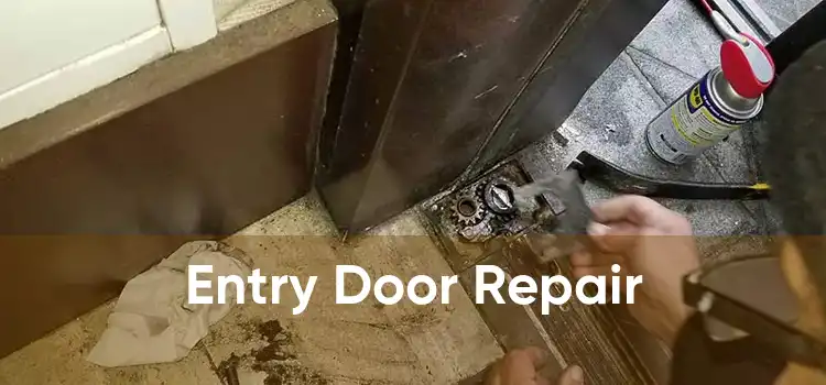 Entry Door Repair 