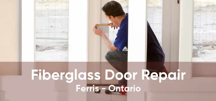 Fiberglass Door Repair Ferris - Ontario