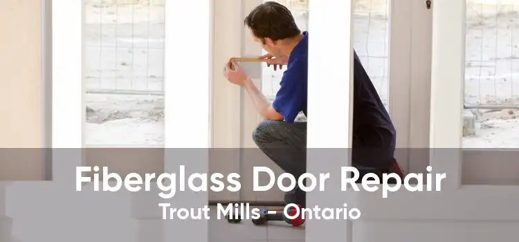 Fiberglass Door Repair Trout Mills - Ontario
