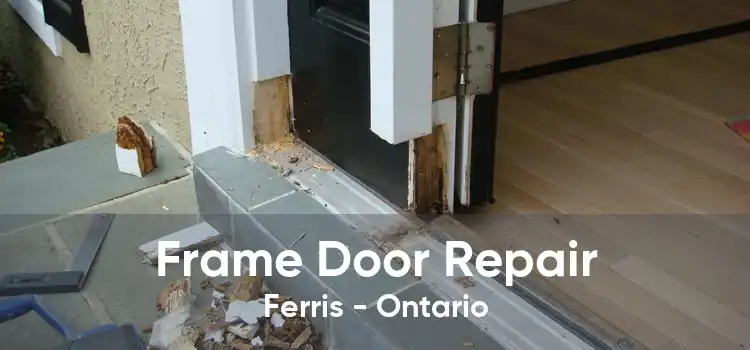 Frame Door Repair Ferris - Ontario