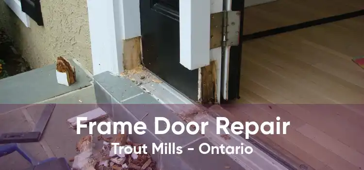 Frame Door Repair Trout Mills - Ontario