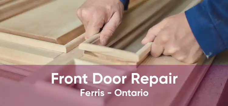 Front Door Repair Ferris - Ontario