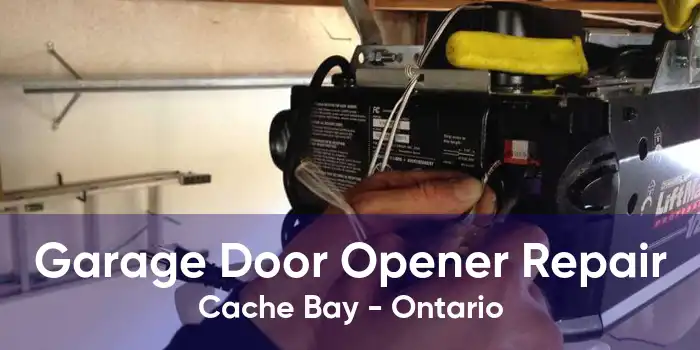 Garage Door Opener Repair Cache Bay - Ontario