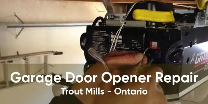 Garage Door Opener Repair Trout Mills - Ontario