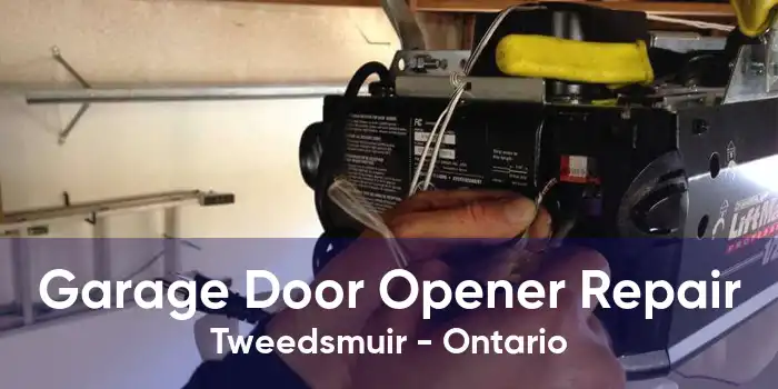 Garage Door Opener Repair Tweedsmuir - Ontario