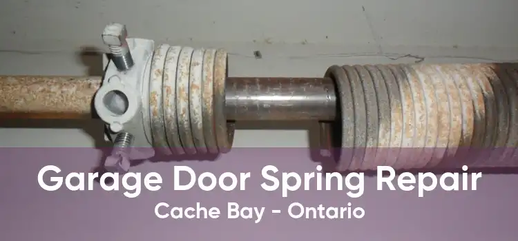 Garage Door Spring Repair Cache Bay - Ontario