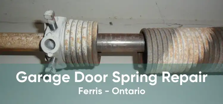 Garage Door Spring Repair Ferris - Ontario