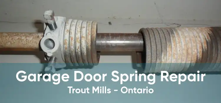 Garage Door Spring Repair Trout Mills - Ontario