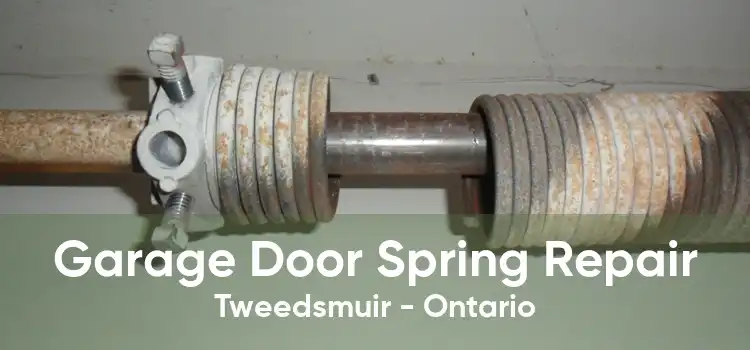 Garage Door Spring Repair Tweedsmuir - Ontario