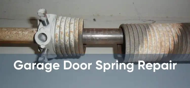 Garage Door Spring Repair 