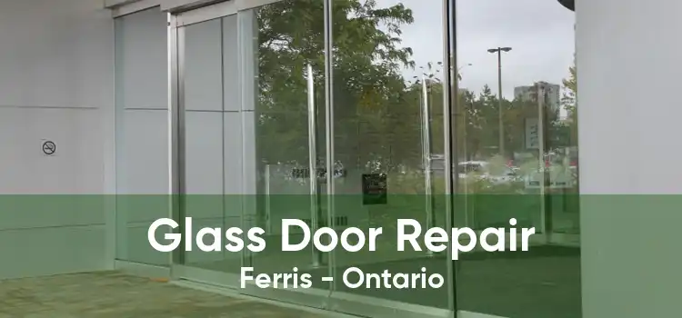 Glass Door Repair Ferris - Ontario