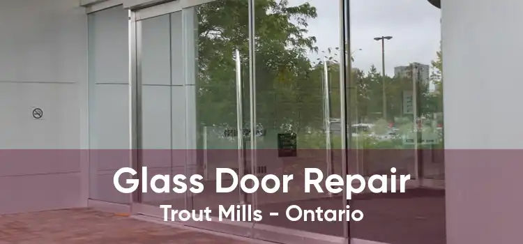 Glass Door Repair Trout Mills - Ontario