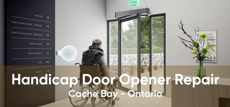 Handicap Door Opener Repair Cache Bay - Ontario