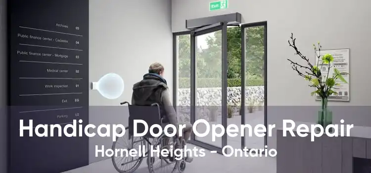 Handicap Door Opener Repair Hornell Heights - Ontario