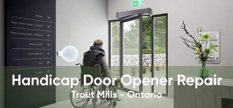 Handicap Door Opener Repair Trout Mills - Ontario