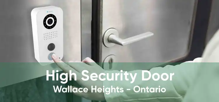 High Security Door Wallace Heights - Ontario