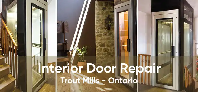 Interior Door Repair Trout Mills - Ontario