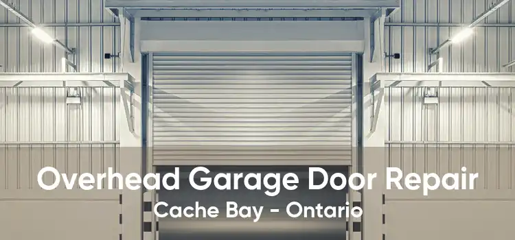 Overhead Garage Door Repair Cache Bay - Ontario