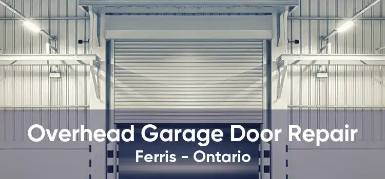 Overhead Garage Door Repair Ferris - Ontario