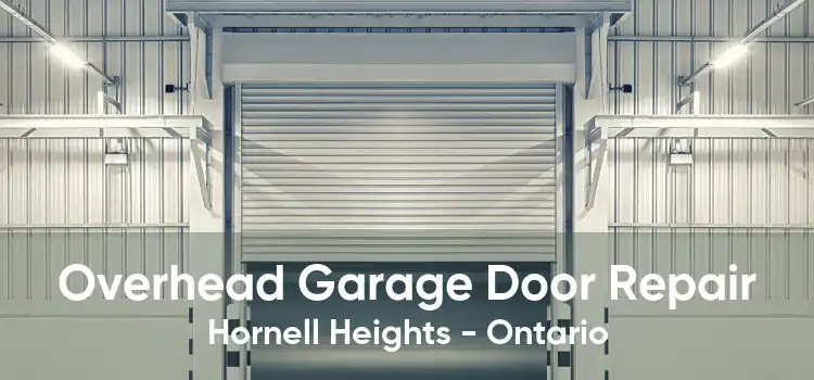 Overhead Garage Door Repair Hornell Heights - Ontario