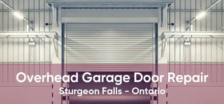 Overhead Garage Door Repair Sturgeon Falls - Ontario