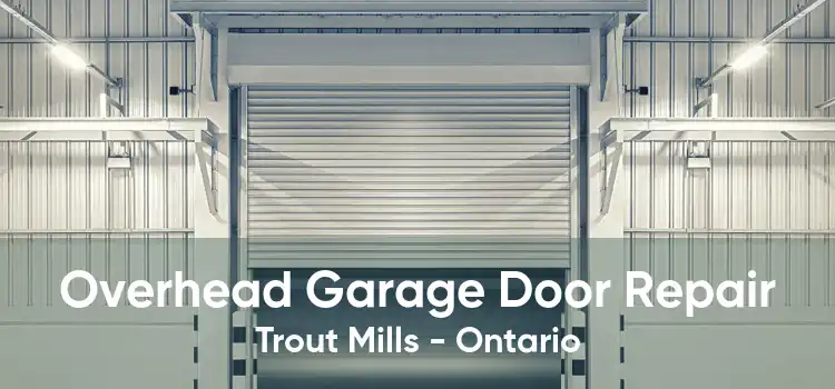 Overhead Garage Door Repair Trout Mills - Ontario