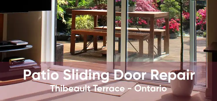 Patio Sliding Door Repair Thibeault Terrace - Ontario