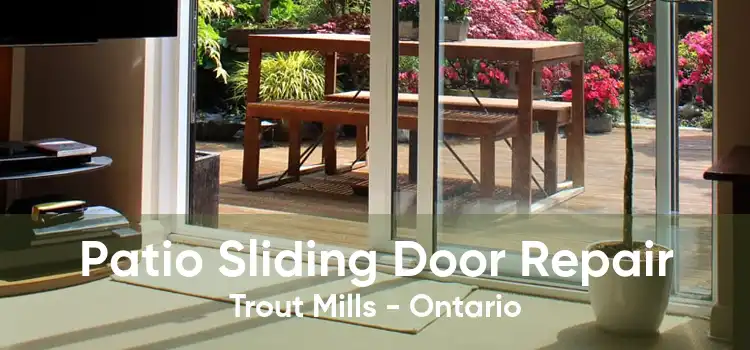 Patio Sliding Door Repair Trout Mills - Ontario