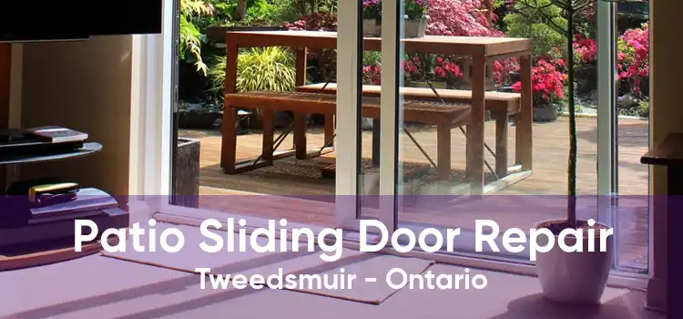 Patio Sliding Door Repair Tweedsmuir - Ontario