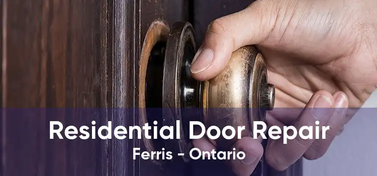 Residential Door Repair Ferris - Ontario