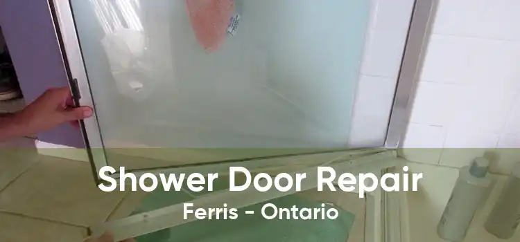 Shower Door Repair Ferris - Ontario