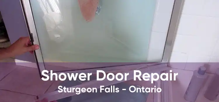Shower Door Repair Sturgeon Falls - Ontario
