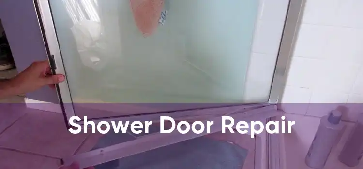 Shower Door Repair 